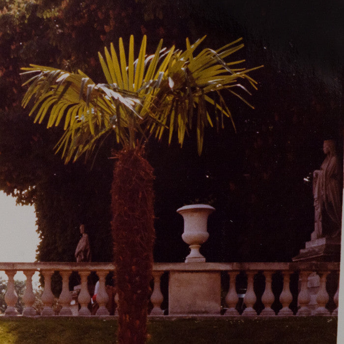 DAVID HOCKNEY "LUXEMBOURG" PHOTO, 1974