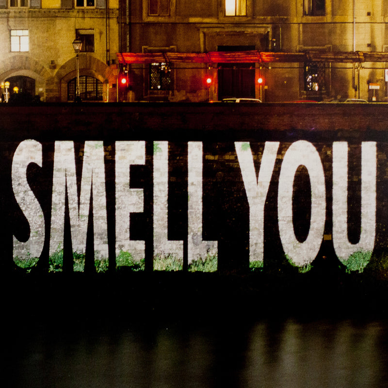 JENNY HOLZER "I SMELL YOU ON MY SKIN" PHOTO, 1996
