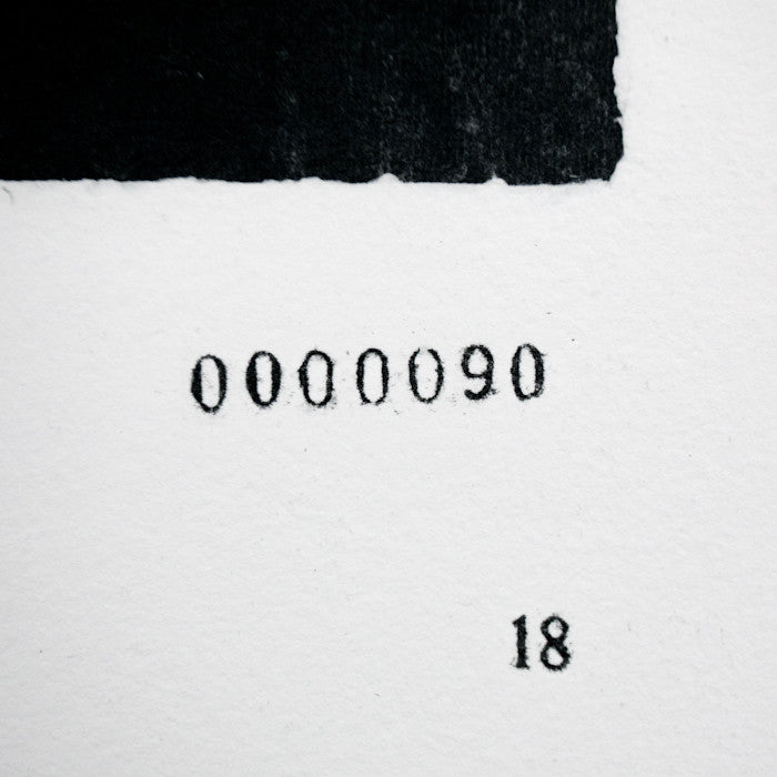 JENNY HOLZER "WATERBOARD 18" 2012