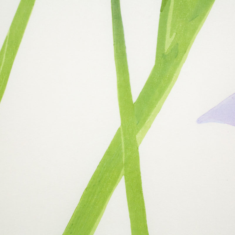 ALEX KATZ "BLUE FLAGS / IRISES" , 2014