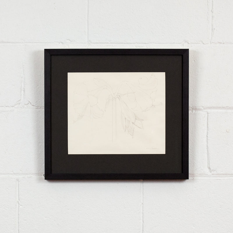MARY PRATT "AMARYLLIS" DRAWING, 1971