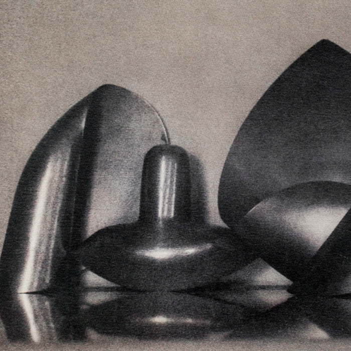 Sheila Metzger photograph, Fresson, Serge Mouille, Caviar20