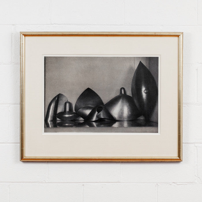 Sheila Metzger photograph, Fresson, Serge Mouille, Caviar20