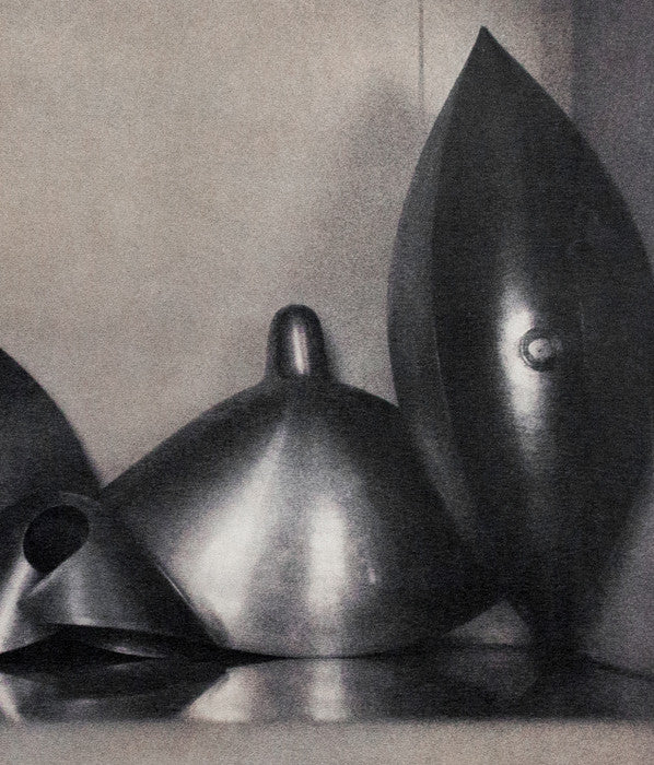 Sheila Metzger photograph, Fresson, Serge Mouille, Caviar20