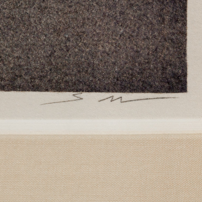 SHEILA METZNER "MOUILLE SHAPES" PHOTOGRAPH, 1986