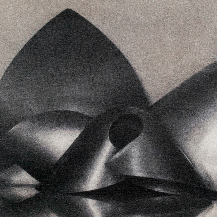 Sheila Metzger photograph, Fresson, Serge Mouille, Caviar20