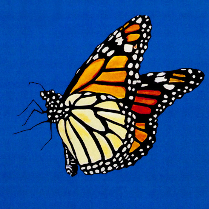Charles Pachter prints, lithographs, Caviar20