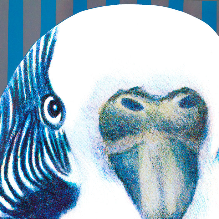 Charles Pachter, prints, graphics, bird, Caviar20