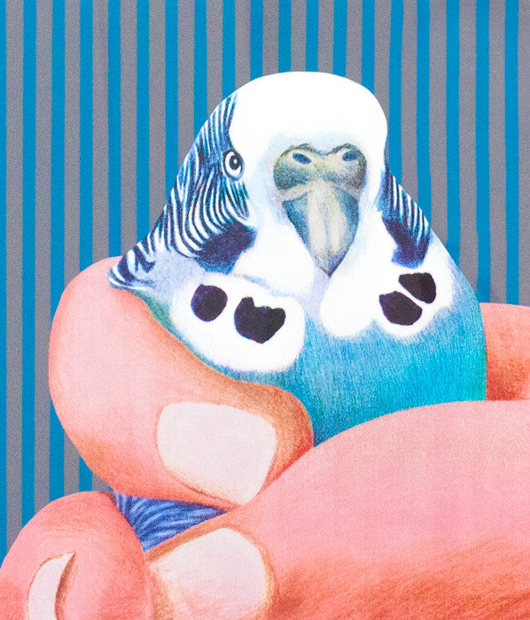 Charles Pachter, prints, graphics, bird, Caviar20