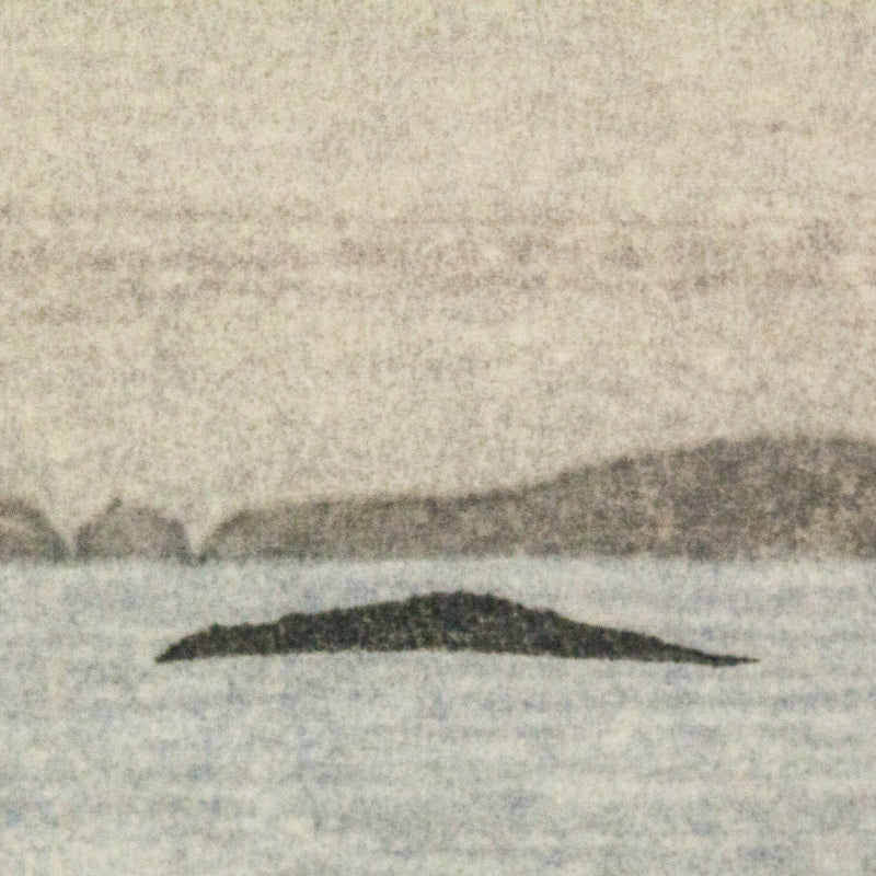 TAKAO TANABE "BARKLEY SOUND",  2007