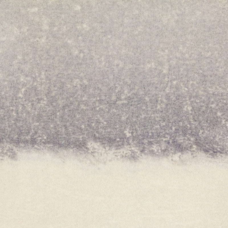 TAKAO TANABE "BARKLEY SOUND",  2007