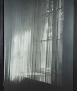 ANGELA GRAUERHOLZ "WINDOW" 1998