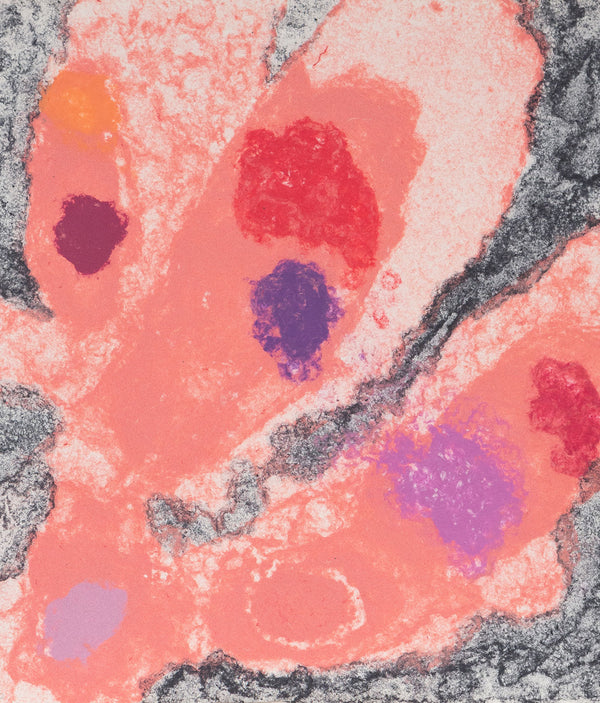 Friedel Dzubas, Untitled (EXP/FD 13-07) aka "Coral Rush" , Monotype, 1982, Caviar20