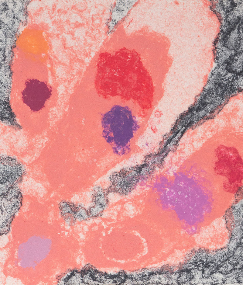 Friedel Dzubas, Untitled (EXP/FD 13-07) aka "Coral Rush" , Monotype, 1982, Caviar20