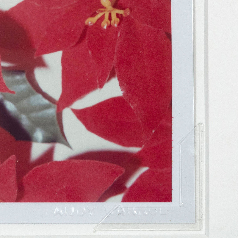 Andy Warhol Poinsettias Polaroid 1982 Caviar20