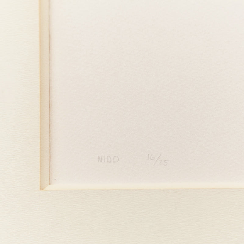 ARTHUR SECUNDA "NIDOS CORE" LITHOGRAPH, 1970