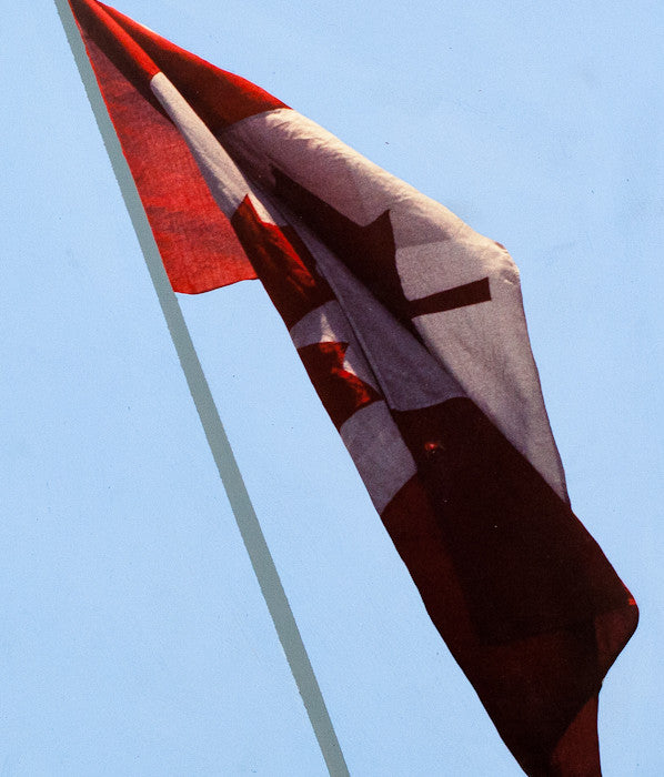 CHARLES PACHTER "PAINTED FLAG: PREPARATORY #2"