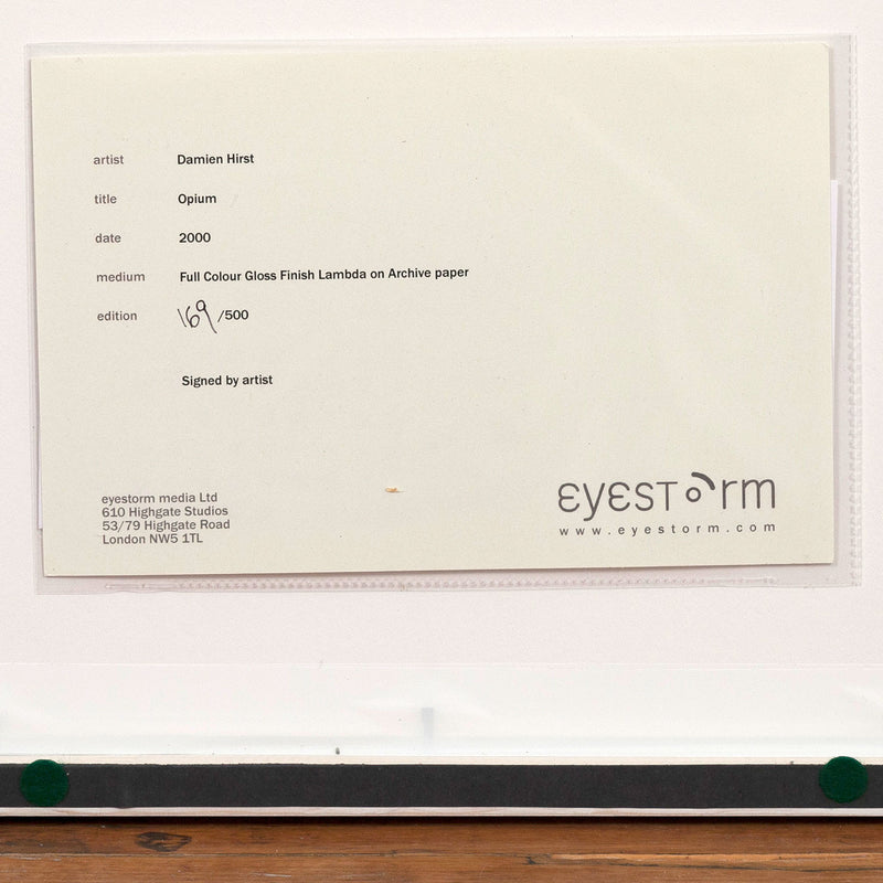 DAMIEN HIRST "OPIUM" 2000