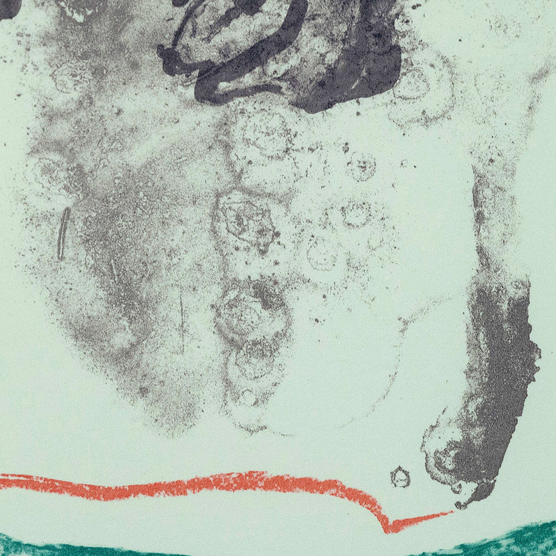 Helen Frankenthaler Reflexions prints Caviar20