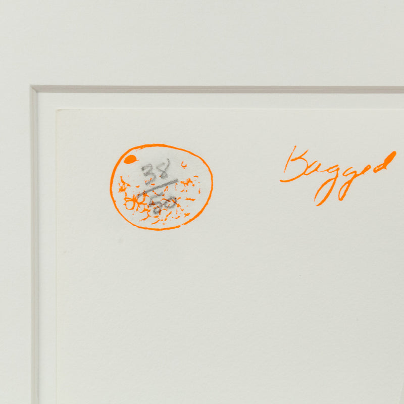 IAIN BAXTER "BAGGED DAY-GLO ORANGES" 1961