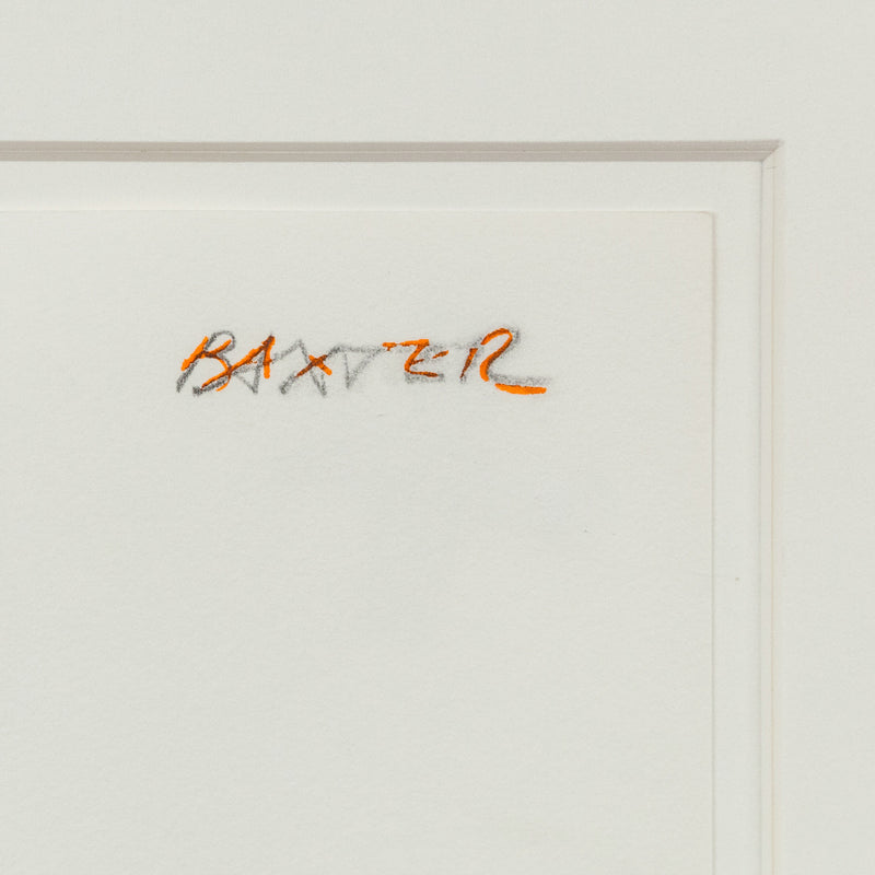 IAIN BAXTER "BAGGED DAY-GLO ORANGES" 1961