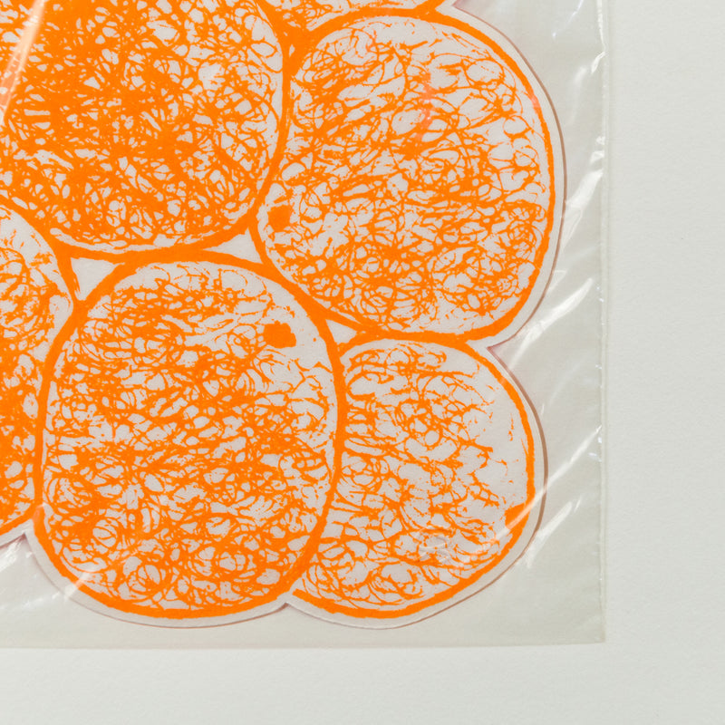 IAIN BAXTER "BAGGED DAY-GLO ORANGES" 1961