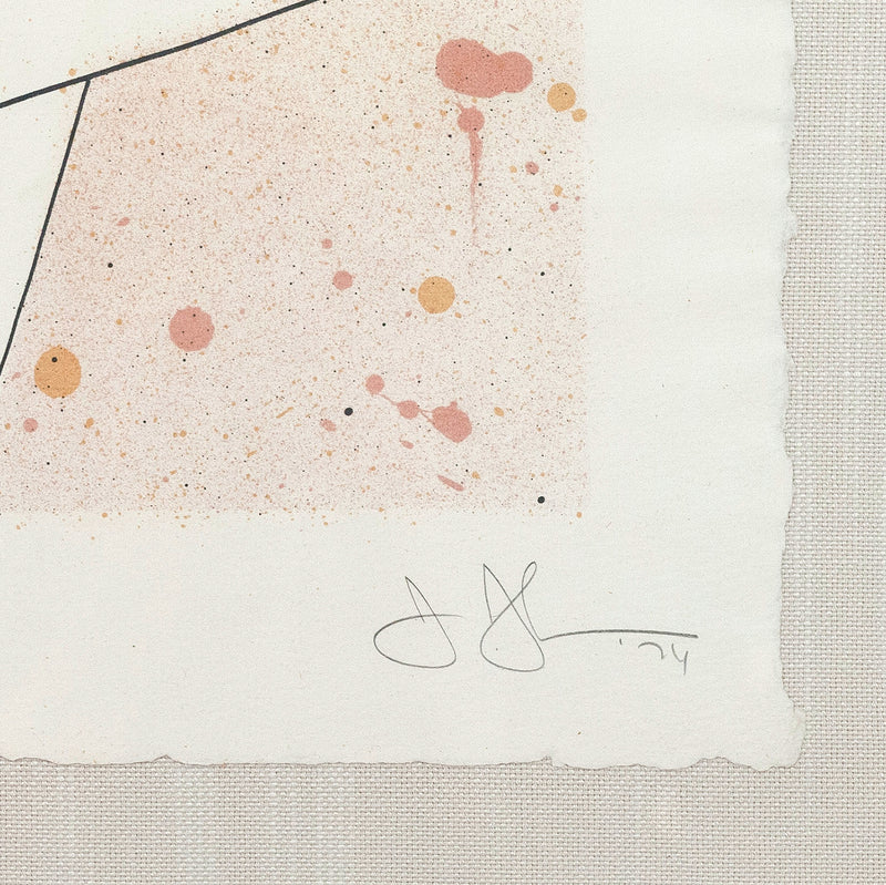 JASPER JOHNS "SKETCH...FROM CASTS" LITHO, 1974