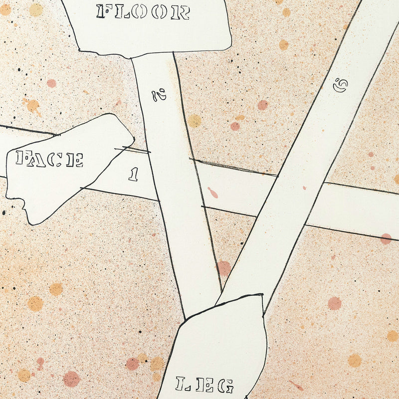 JASPER JOHNS "SKETCH...FROM CASTS" LITHO, 1974