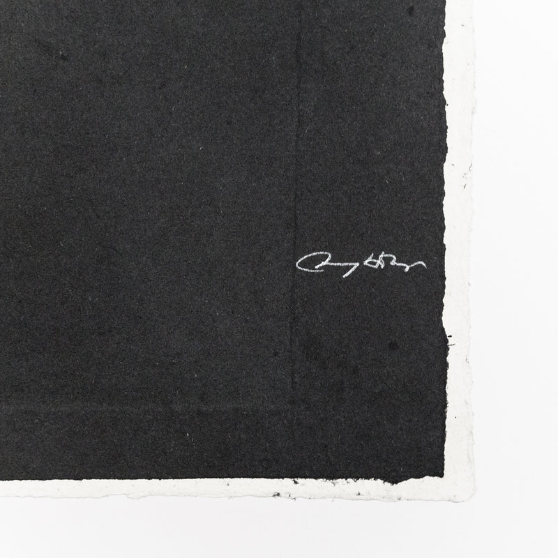 Caviar20 Jenny Holzer prints Top Secret 2012