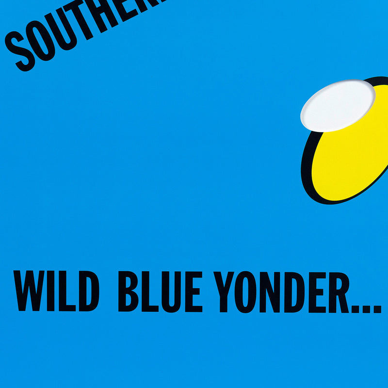 LAWRENCE WEINER "WILD BLUE YONDER", 1990