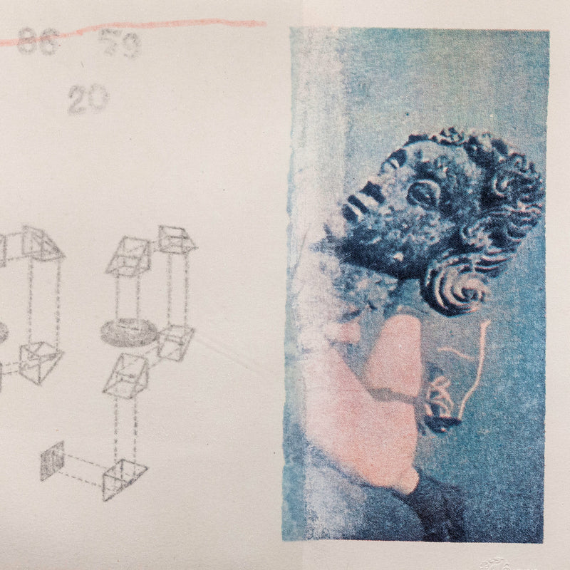 ROBERT RAUSCHENBERG "TWO REASONS BIRDS SING" SCREENPRINT, 1979