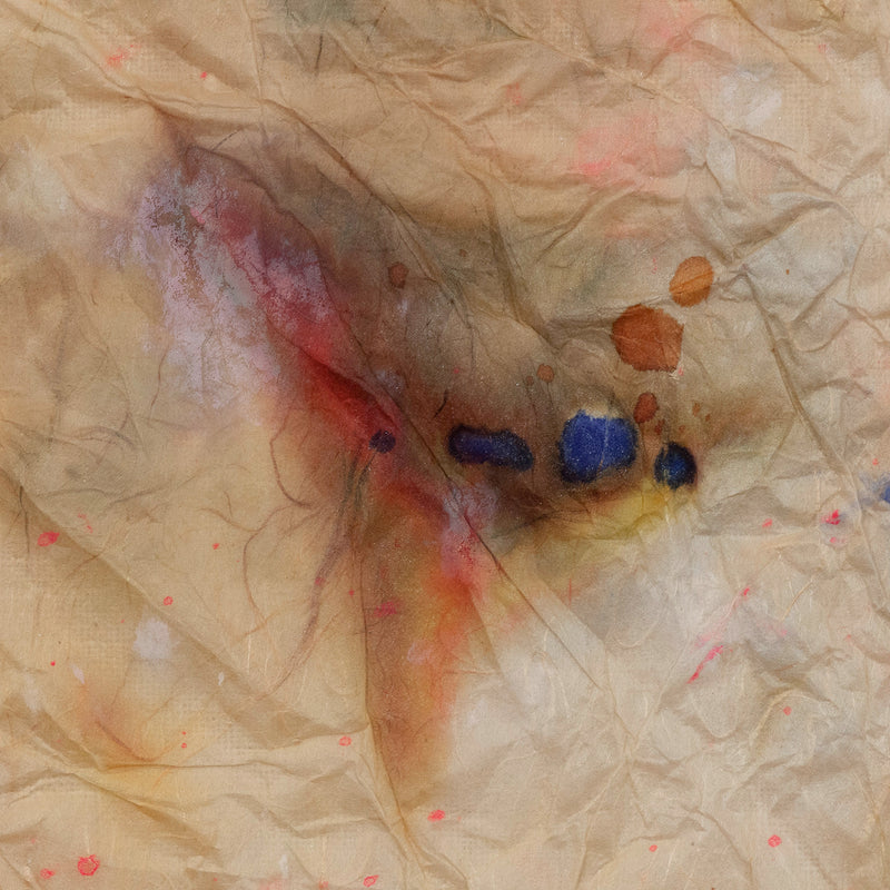 Sam Gilliam on paper Caviar20