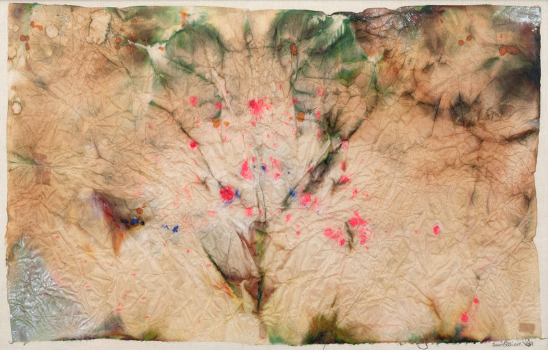 Sam Gilliam on paper Caviar20