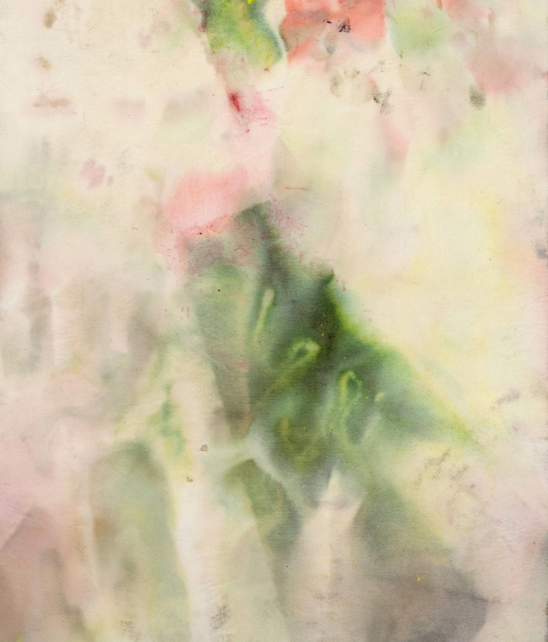 Sam Gilliam on paper Caviar20