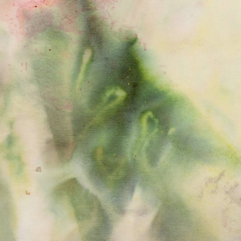 Sam Gilliam on paper Caviar20