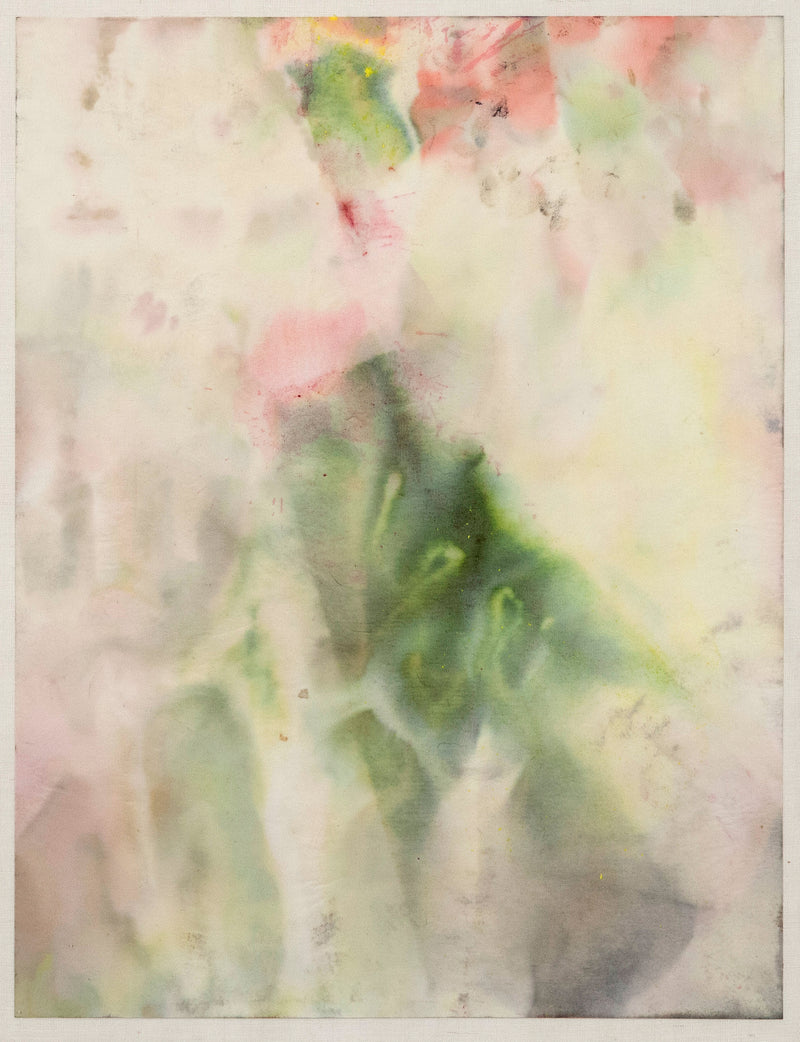 Sam Gilliam on paper Caviar20