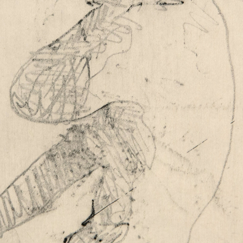 Tony Scherman 1999 drawing Lady Macbeth, Caviar20 detail