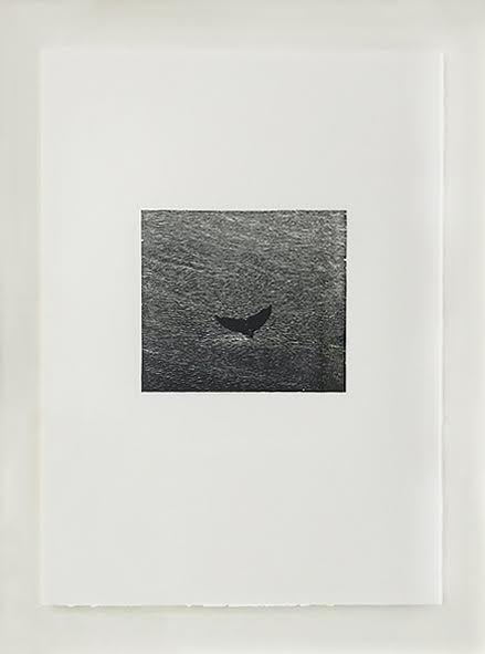 Bradford Morrow Bestiary Vija Celmins