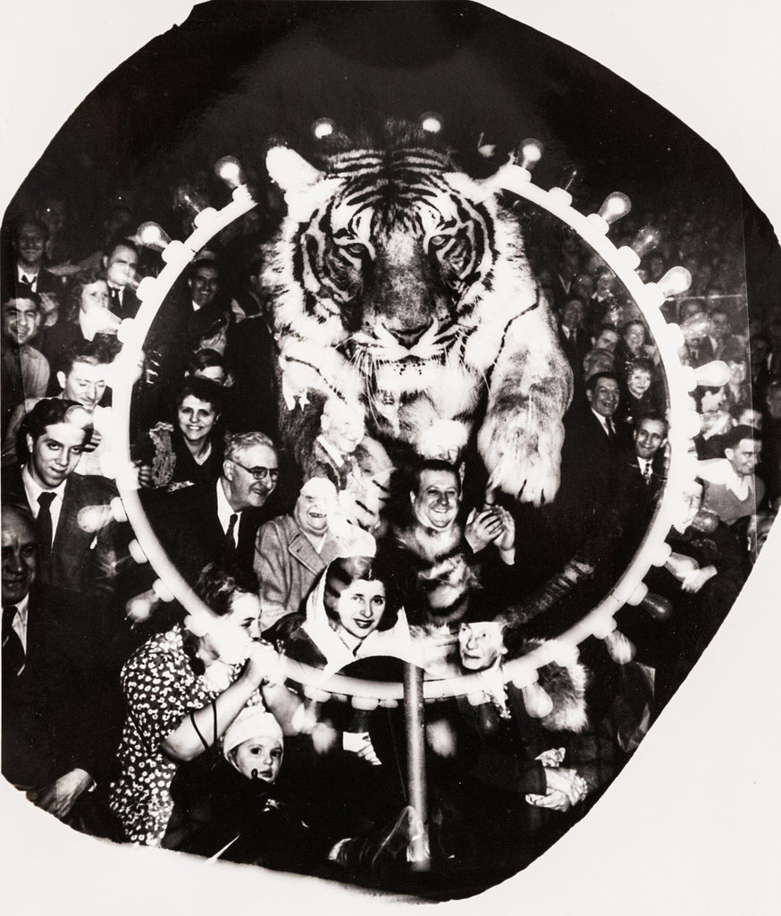 TIGER アルバム Tiger – Tiger – Vinyl (LP, Album), 1976 [r2824110] | Discogs