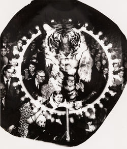 Caviar20 Weegee Circus Tiger