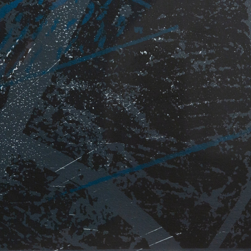 Sam Gilliam, Midnight, Screenprint, 1984, Caviar20
