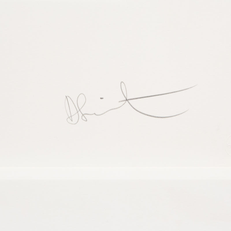Damien Hirst, Controlled Substances, 2011, Caviar20 Prints, Young British Artists