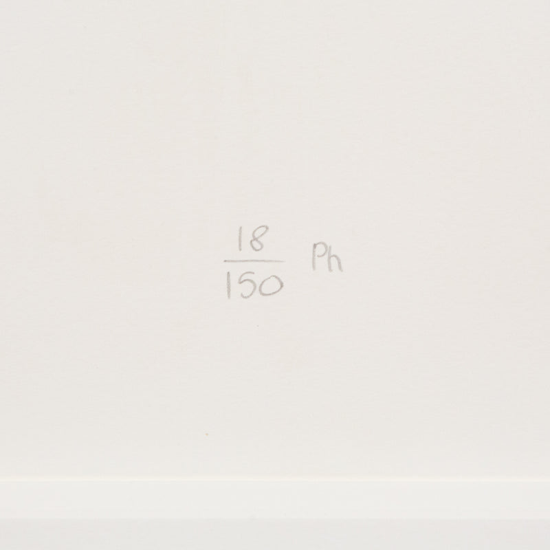 Damien Hirst, Controlled Substances, 2011, Caviar20 Prints, Young British Artists