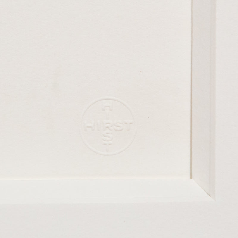 Damien Hirst, Controlled Substances, 2011, Caviar20 Prints, Young British Artists