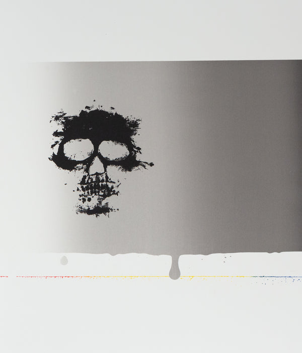 Jasper Johns, Skull, Screenprint, 1973, Caviar20