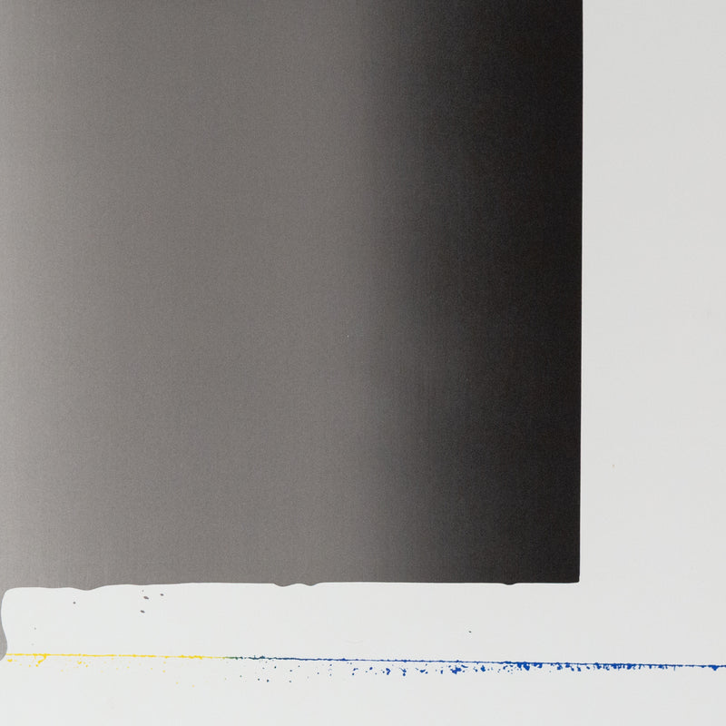 Jasper Johns, Skull, Screenprint, 1973, Caviar20