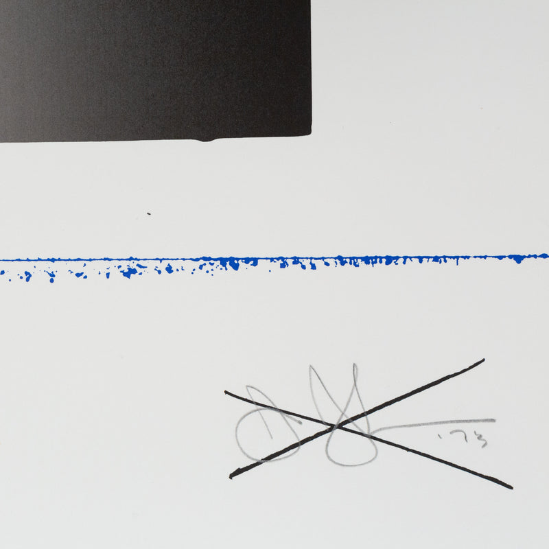 Jasper Johns, Skull, Screenprint, 1973, Caviar20