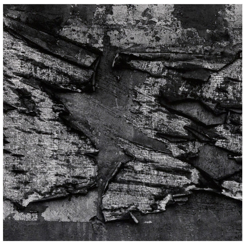 AARON SISKIND "LIMA 25" PHOTO, 1980