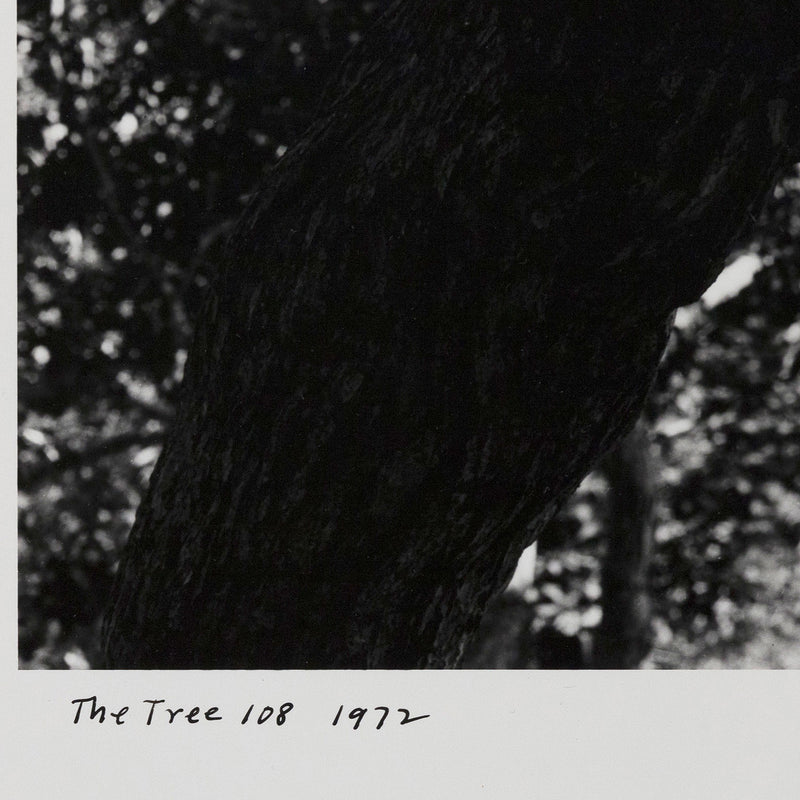 AARON SISKIND "THE TREE" PHOTO, 1972