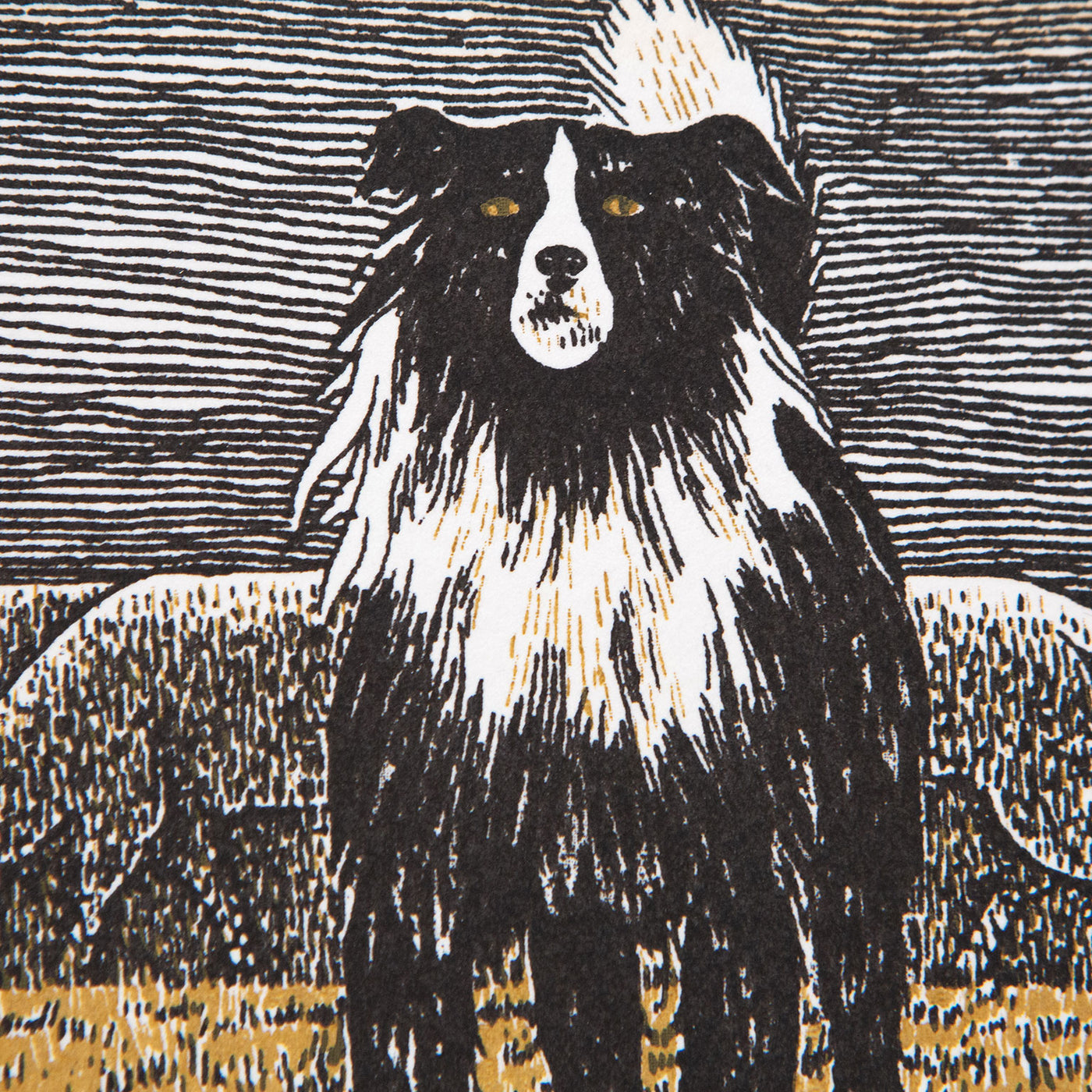 Caviar20_Alex-Colville-Border-